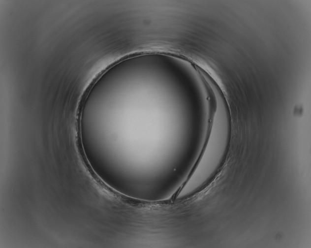 X0000090441093200708031148