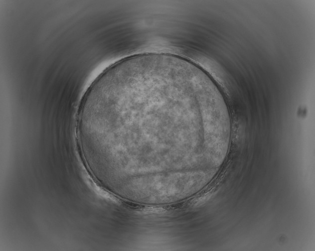 X0000090441094200708031148