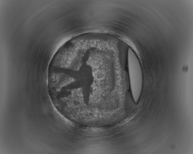 X0000090441095200708031148