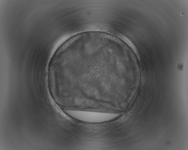 X0000090441096200708031148