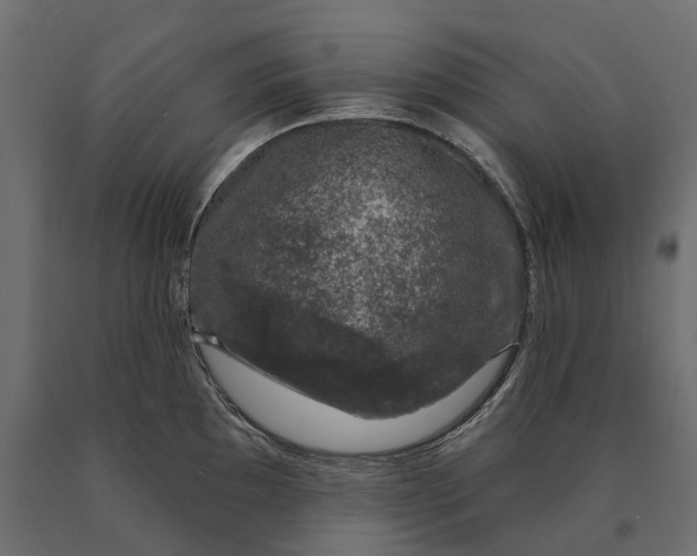 X0000090441097200708031148