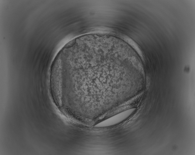 X0000090441099200708031148