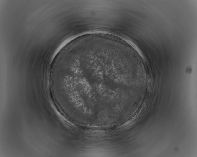 X0000090441101200708031147