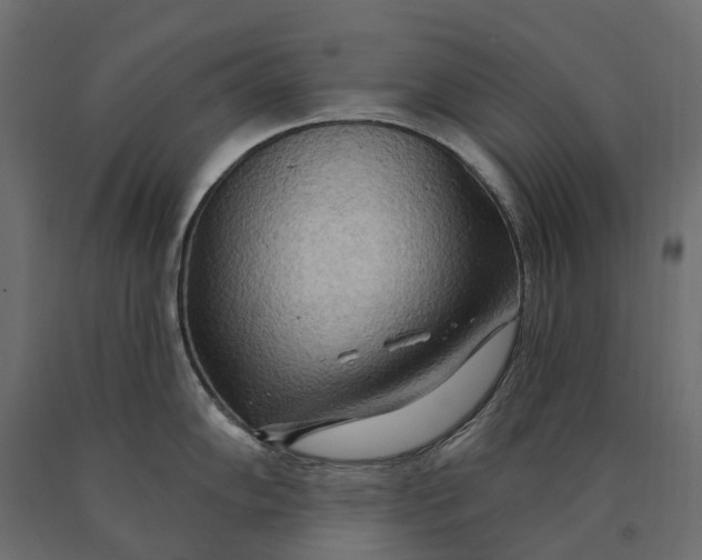 X0000090441102200708031147