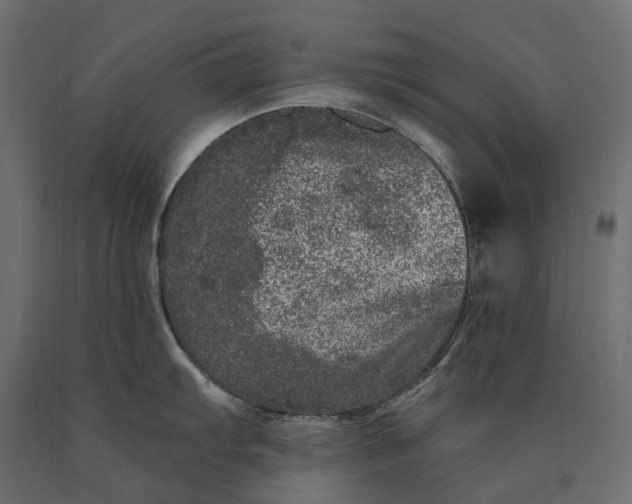 X0000090441103200708031147