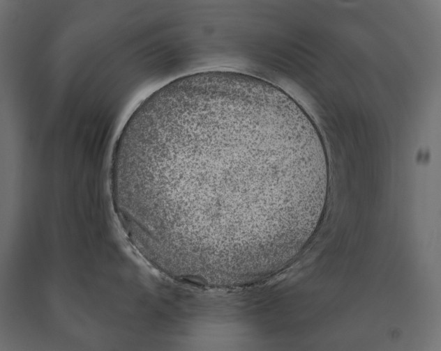 X0000090441104200708031147