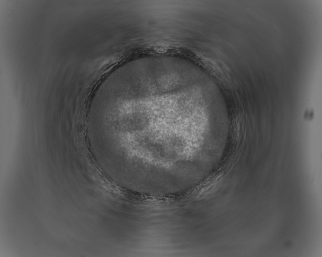 X0000090441105200708031147