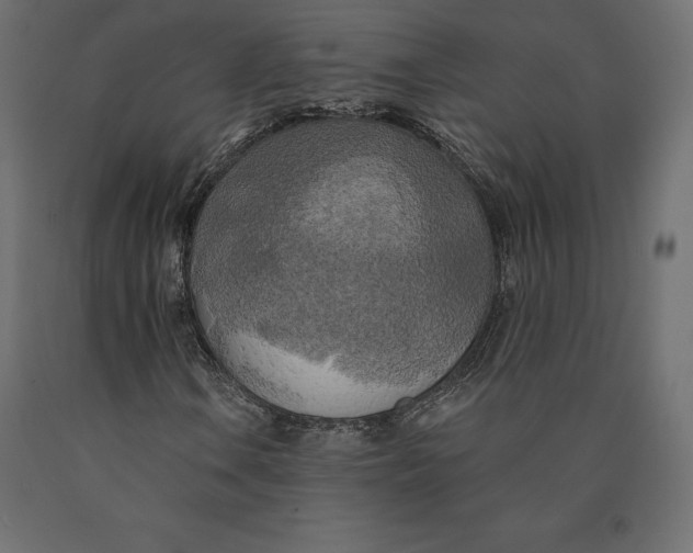 X0000090441106200708031147