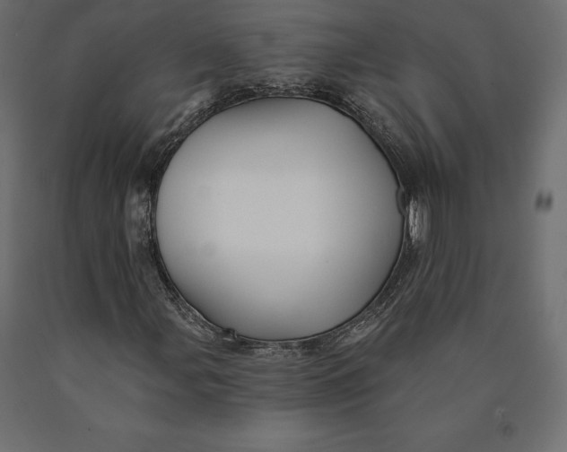 X0000090441107200708031147