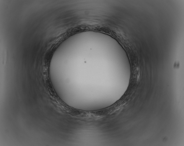 X0000090441109200708031147