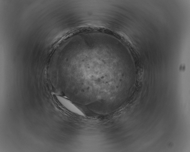 X0000090441110200708031147