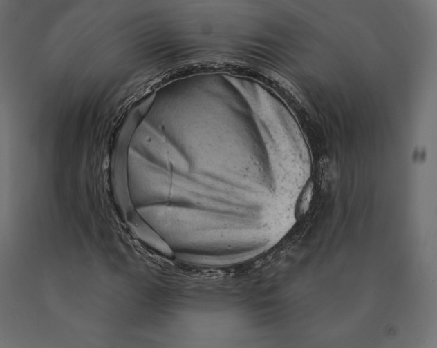 X0000090441111200708031147