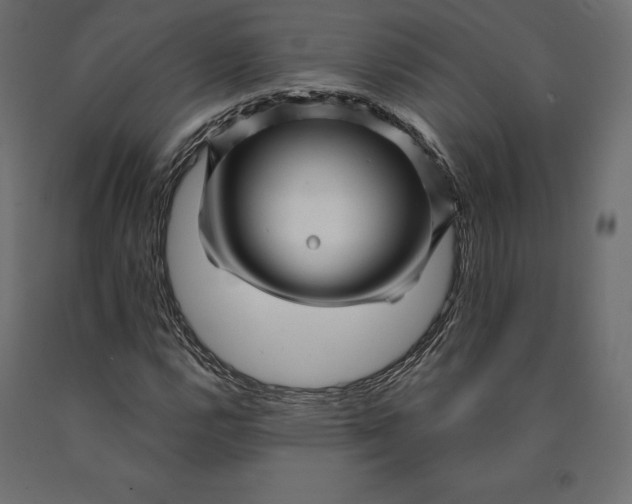 X0000090441112200708031147