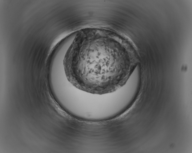 X0000090441114200708031147