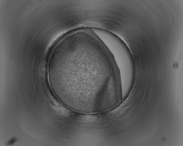 X0000090441115200708031147