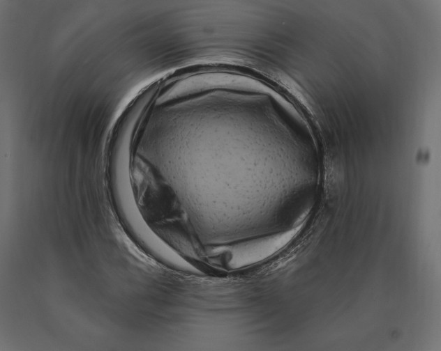 X0000090441116200708031147