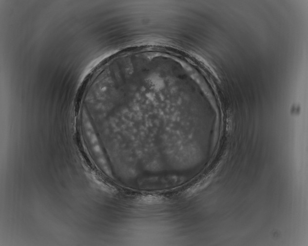 X0000090441117200708031147