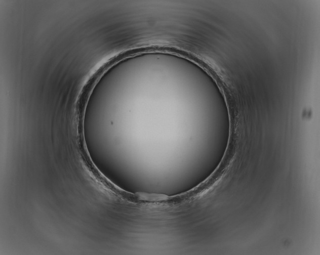 X0000090441118200708031147