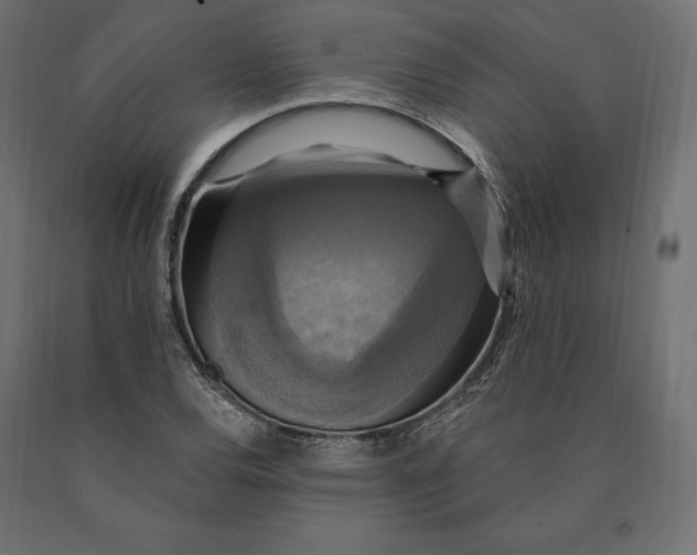 X0000090441120200708031147