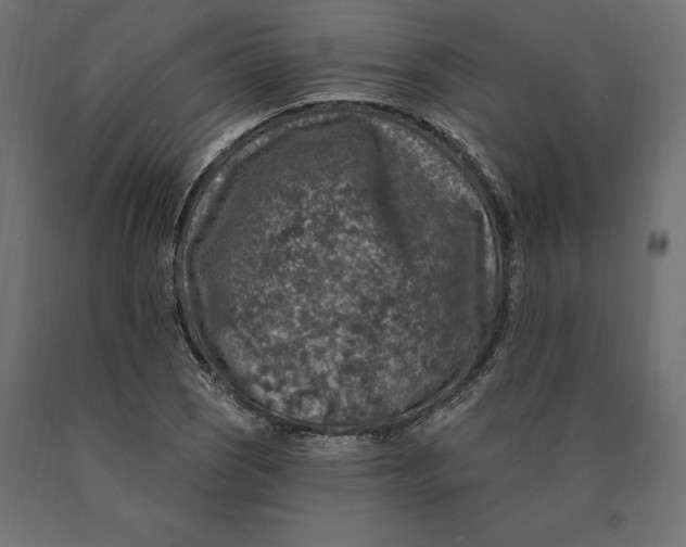 X0000090441121200708031147