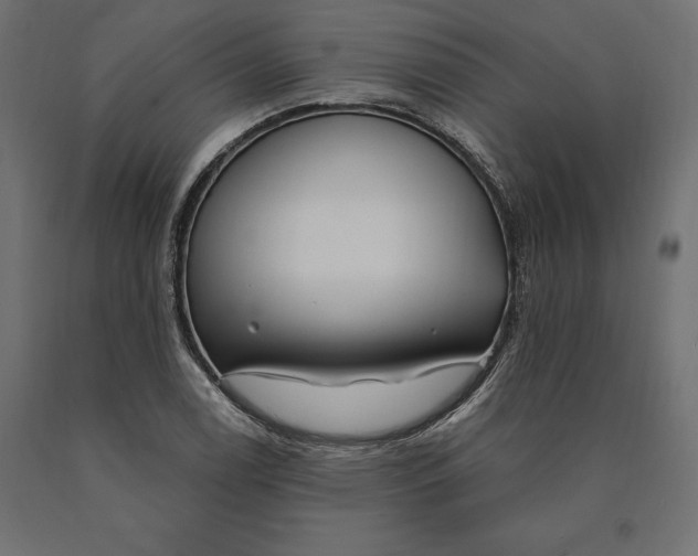 X0000090441122200708031147