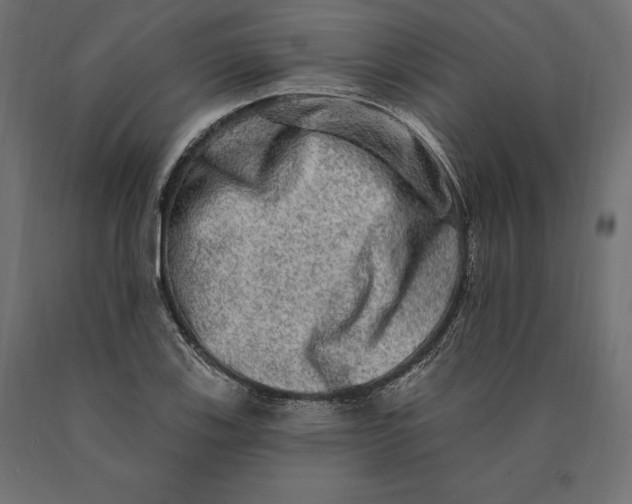 X0000090441123200708031147