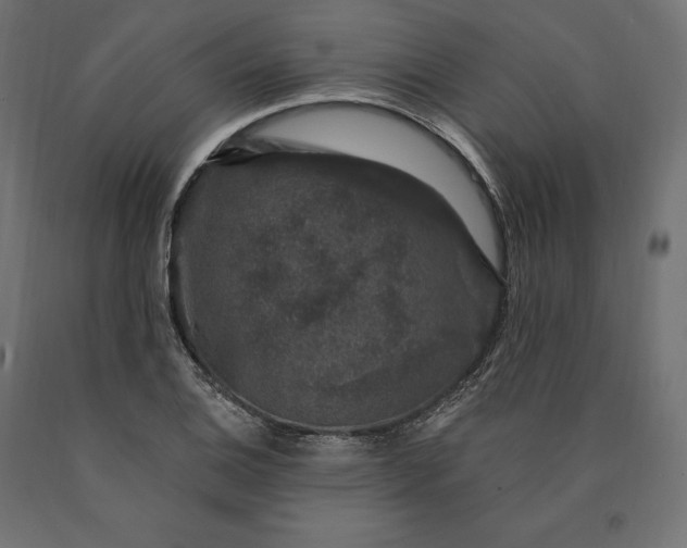 X0000090441124200708031147