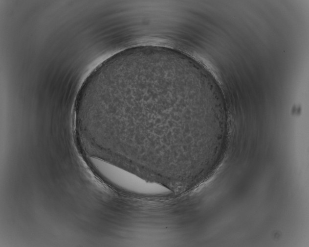 X0000090441125200708031147