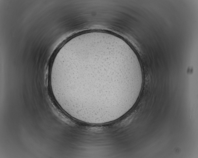 X0000090441126200708031147