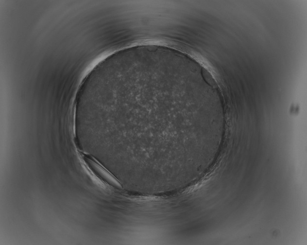 X0000090441127200708031147