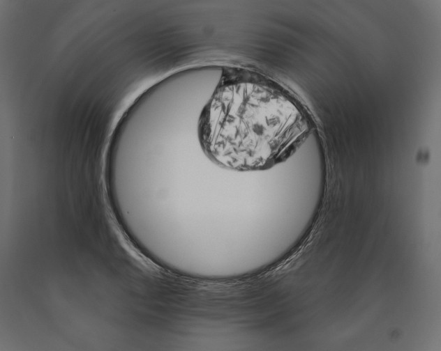 X0000090441128200708031147