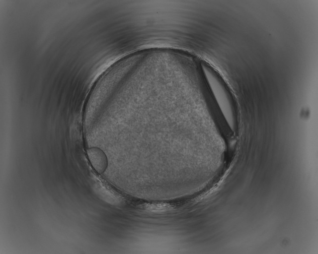 X0000090441129200708031147