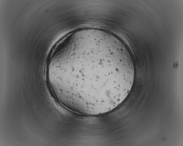 X0000090441131200708031147