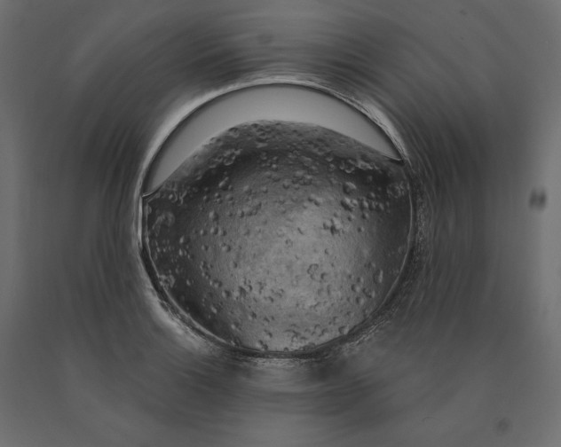 X0000090441132200708031147