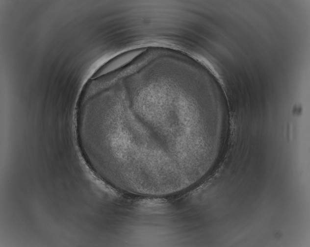 X0000090441133200708031147