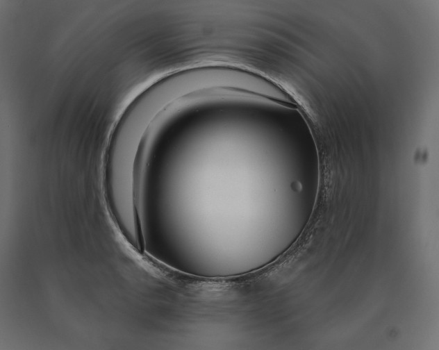 X0000090441134200708031147