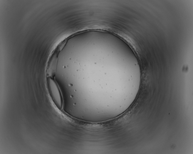 X0000090441135200708031147