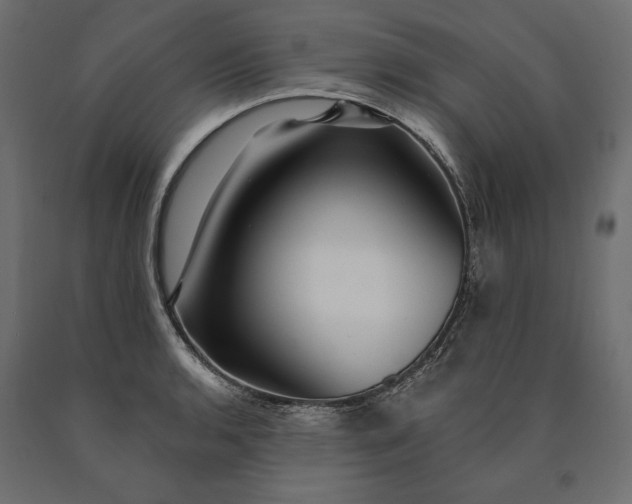 X0000090441136200708031147