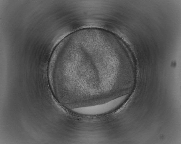 X0000090441137200708031147