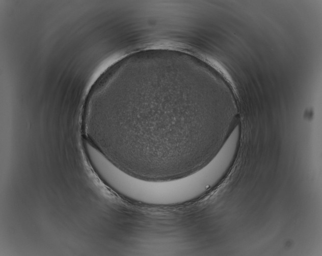 X0000090441138200708031147