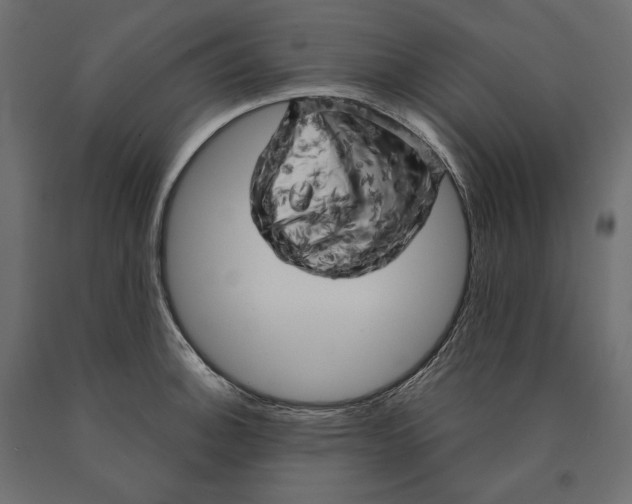 X0000090441140200708031147