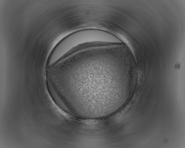 X0000090441141200708031147