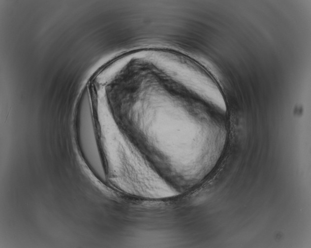 X0000090441142200708031147