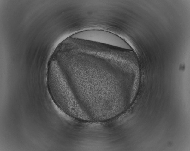 X0000090441143200708031147