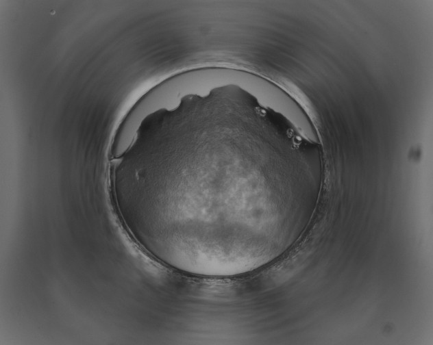 X0000090441144200708031147