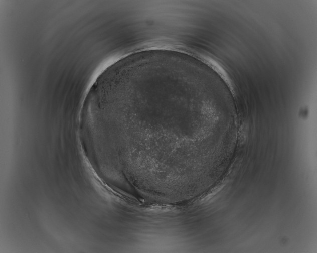 X0000090441146200708031147