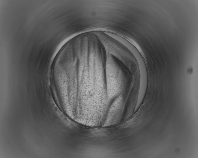 X0000090441148200708031147