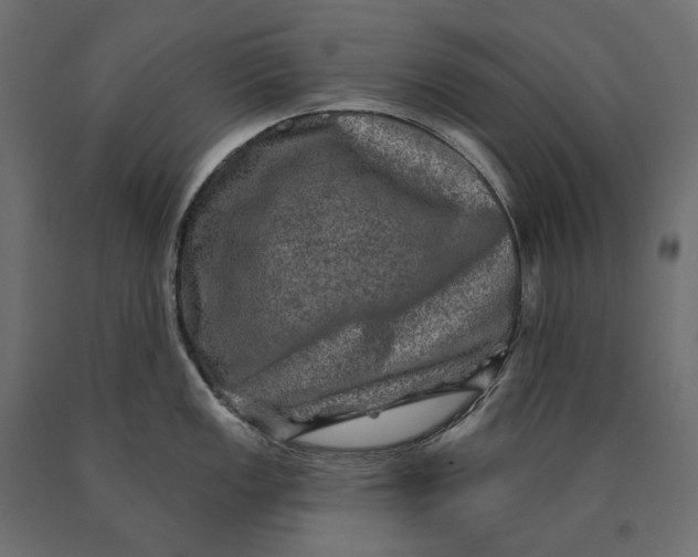 X0000090441149200708031147