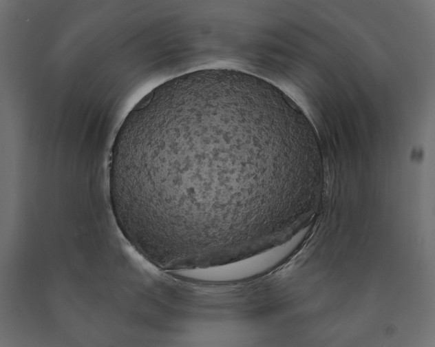 X0000090441151200708031147