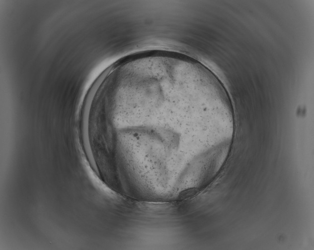 X0000090441152200708031147